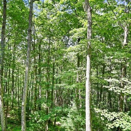 Open Studio Lodge At Little Rock Creek Cherry Log Экстерьер фото
