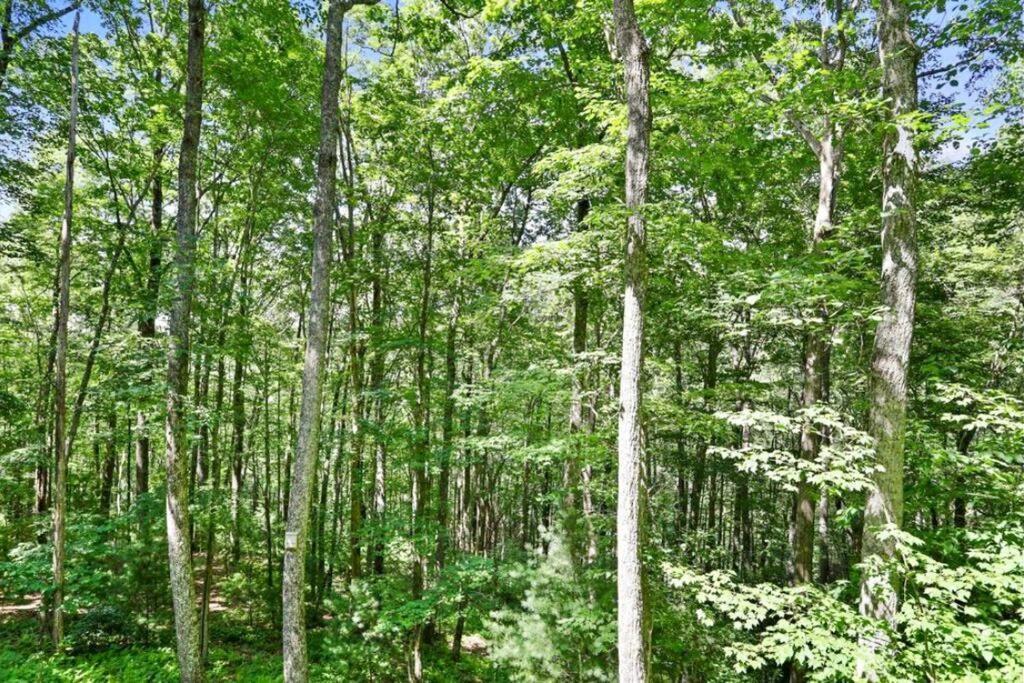 Open Studio Lodge At Little Rock Creek Cherry Log Экстерьер фото